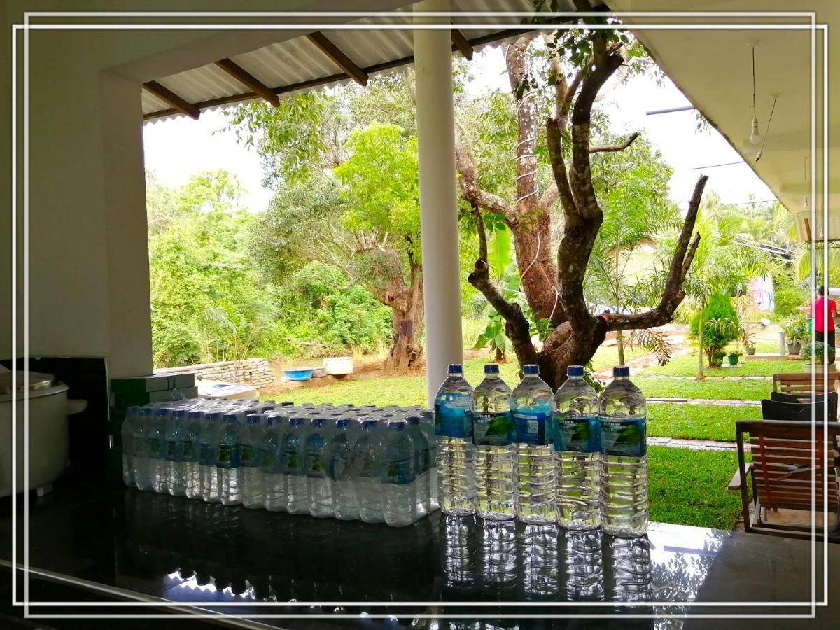 Sigiriya Green Garden Homestay Esterno foto
