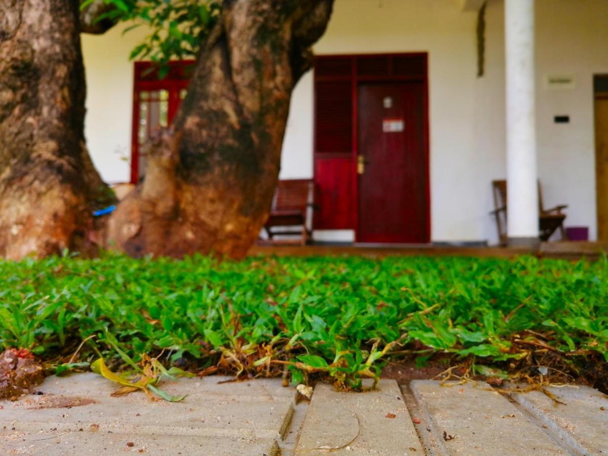 Sigiriya Green Garden Homestay Esterno foto