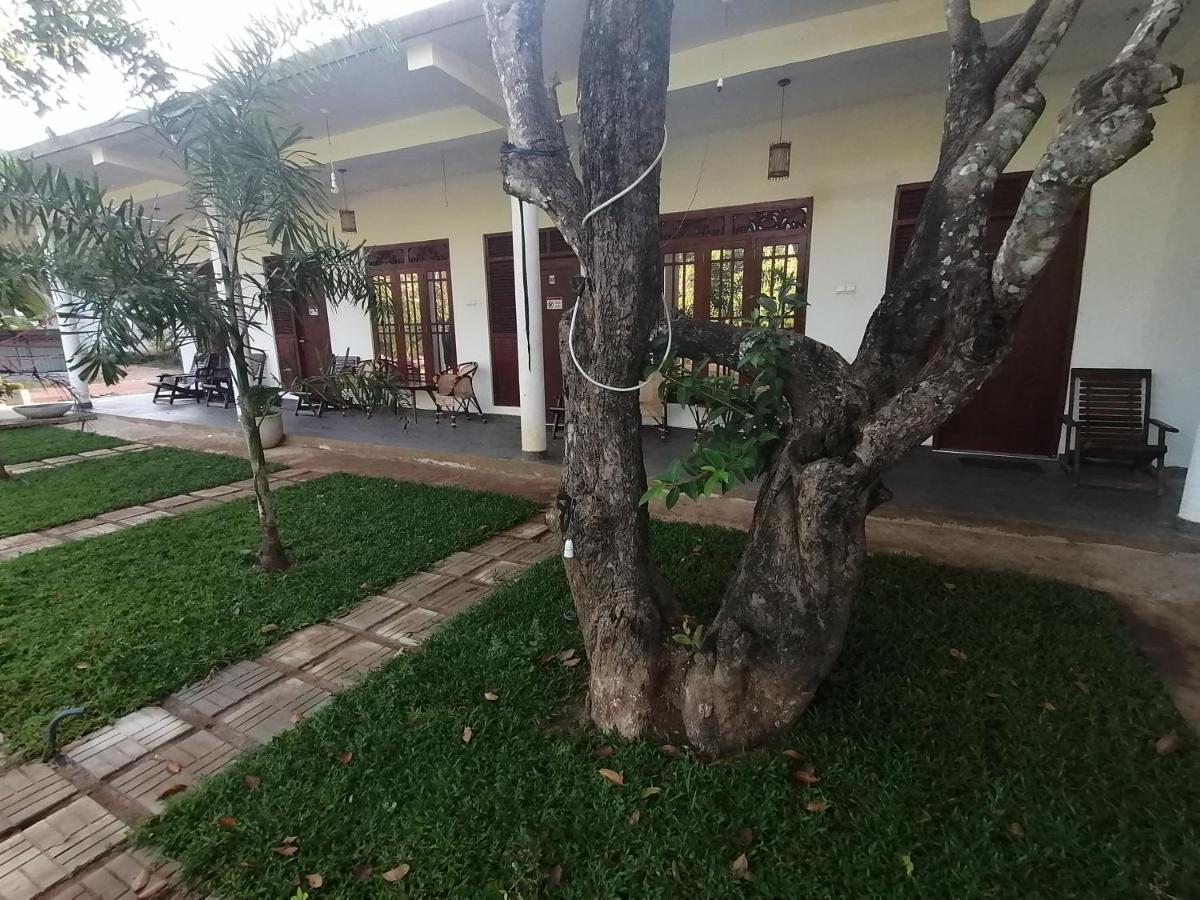 Sigiriya Green Garden Homestay Esterno foto
